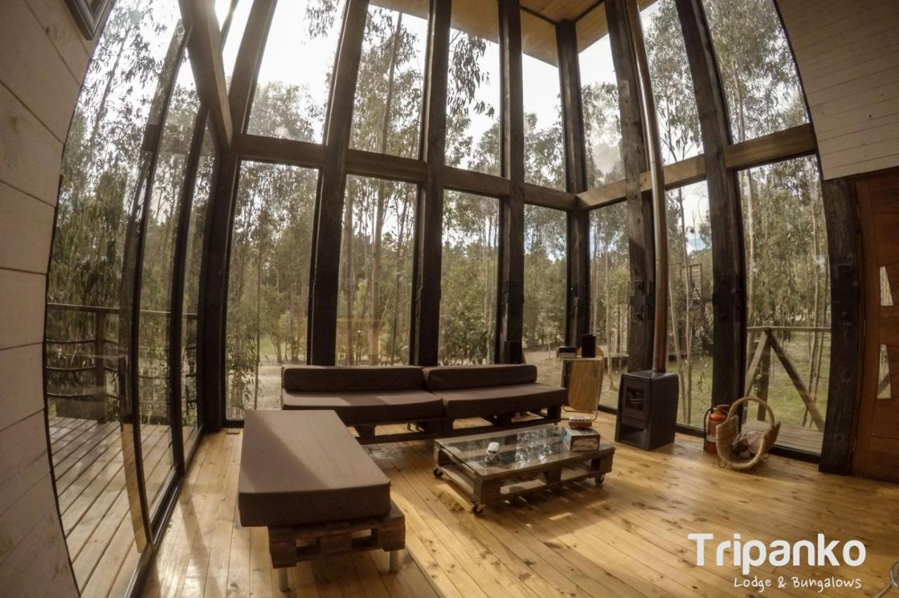 Tripanko Lodge & Bungalows Pichilemu Zewnętrze zdjęcie