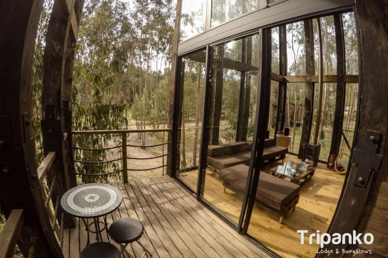 Tripanko Lodge & Bungalows Pichilemu Zewnętrze zdjęcie